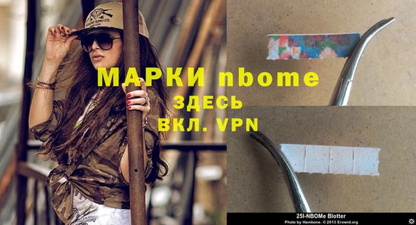 гашик Алексеевка