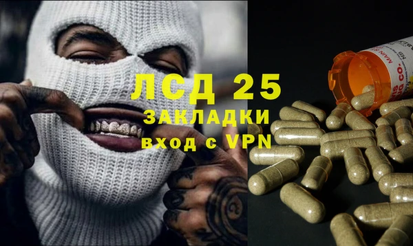 гашик Алексеевка