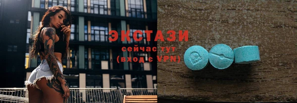 гашик Алексеевка