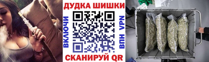 Каннабис конопля  Каневская 